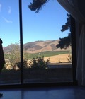 A boy in Heaven 52676f7b303b0.jpg