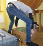 special Glistening 9261.jpg