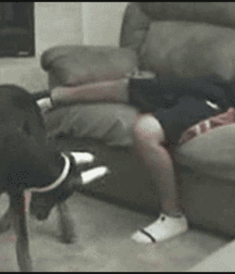 Sensual Teens and Twinks Gay Porn 61a450d89790b.gif