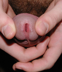 Austin wild boys porn 61e9798b618a6.jpg
