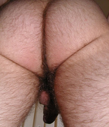 Austin wild boys porn 61e97af1cff76.jpg