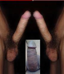 Dicks 2 586214df71cda.jpg