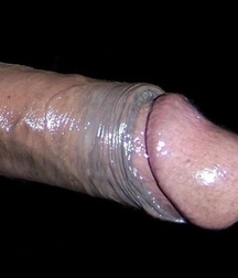 Dicks 2 58621506d5751.jpg