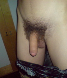 Dicks 2 5862159b50a31.jpg