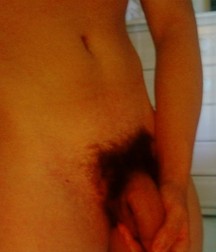 Dicks 2 586215a5bb75e.jpg