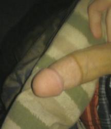 Dicks 2 586215e3e3b92.jpg