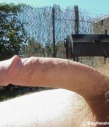 Dicks 3 58621cc38dba1.jpg
