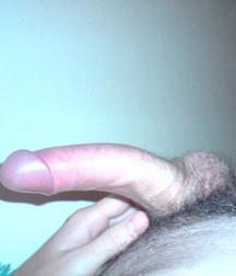 Dicks 3 58621ce8af059.jpg