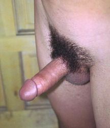 Dicks 3 58621d87e352e.jpg