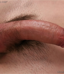 Anton 1 593ef17feee20.jpg