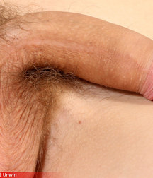 Uploaded by:astoriabum 595d83c324df0.jpg