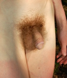*****ARTUSS** 583eeab970d06.jpg