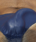 Your speedo dreams... 5596dda7d049c.jpg