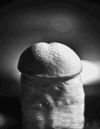 Nice Gifs 5958eebca8484.gif