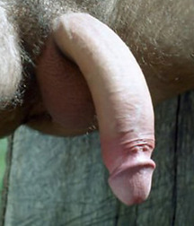 Mix pics 2 5962488c02d41.jpg