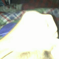 Gifs 5a43bcfa922fd.gif