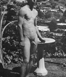 Nothing But Hot Boys 19 5baa5645b61bf.jpg