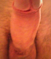 Hot Pics 20 5bc4a16a738b1.jpg