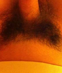 Hot Pics 22 5bc4b33d13451.jpg