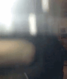 Nothing But Gifs 2 5d273704271bc.gif