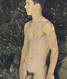 Let Me Love You Tonight 19 5de9314973537.jpg