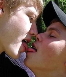 Twinkies...More than One 57633843d3b30.jpg