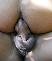Twinkie Butts 576338bc74888.jpg