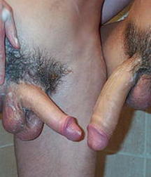 Simply Cock 576342fb111a3.jpg