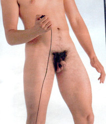 Small Dicks Are Really Cute! 576f423395b40.jpg