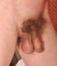 Boy to Man Cocks 5777c88fd1d65.jpg
