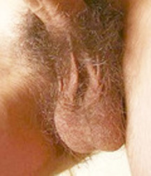 Nakedness 57797c205bc81.jpg