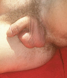 Guys and Dicks 5787744020028.jpg