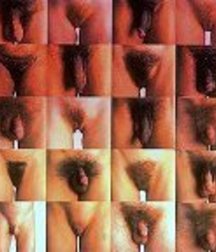 Guys and Dicks 5787746d1d766.jpg