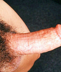 Guys and Dicks 5787746d991a8.jpg