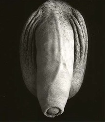 Art Collection of Nudes 57a116415be6c.jpg