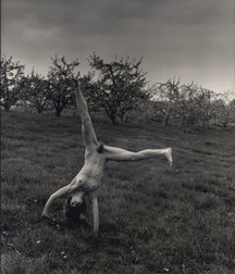 Art Collection of Nudes 57a1165148e05.jpg