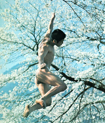 Art Collection of Nudes 57a11669960f6.jpg