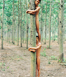 Art Collection of Nudes 57a1167275bc3.jpg