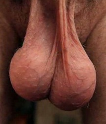 Just Balls 57ba4a7f91be9.jpg