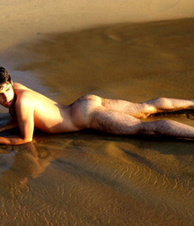 Cutest Butts 57ba4aad2ab7e.jpg