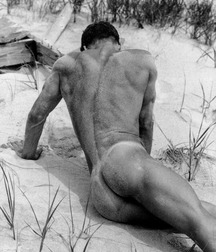 Beach Artwork 57cdd64bde63f.jpg