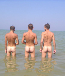All Beach Butt 57cdd6a3ab6b4.jpg