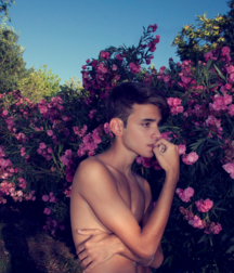 Cuteness - No Nude 57d61ac0795f6.png