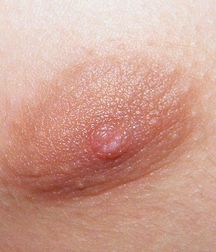 Boys Nips 57dafd205c9ac.jpg