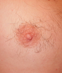 Boys Nips 57dafd3ee7e10.jpg