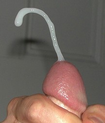 Wonderful Cum 57e4c350e7104.jpg