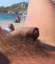 A Study of Cock