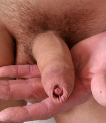 A Study of Cock 57f396b597d42.jpg