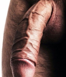 More Huge Stuff - Grows on Trees 580993958a7ad.jpg