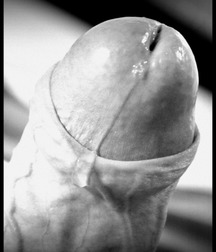 Just Dick 580fd6c3e1e0a.jpg